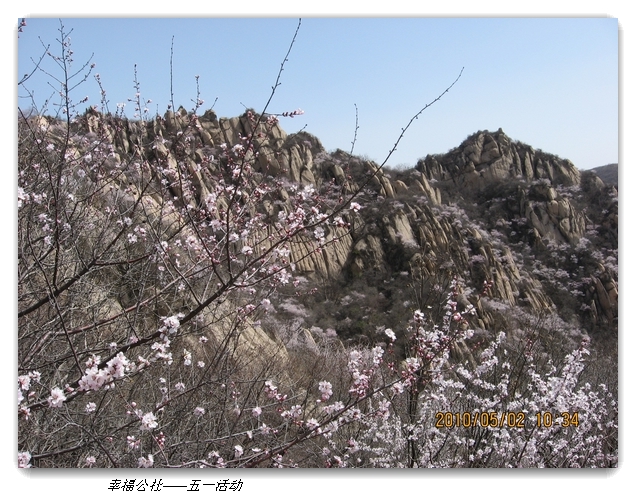 liang hua shang 065.jpg