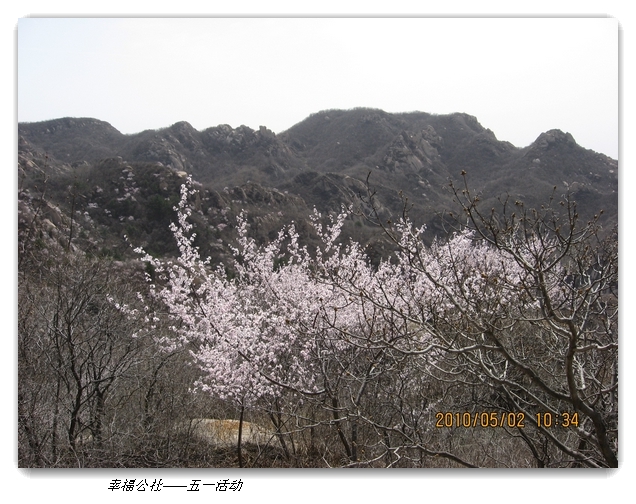 liang hua shang 064.jpg