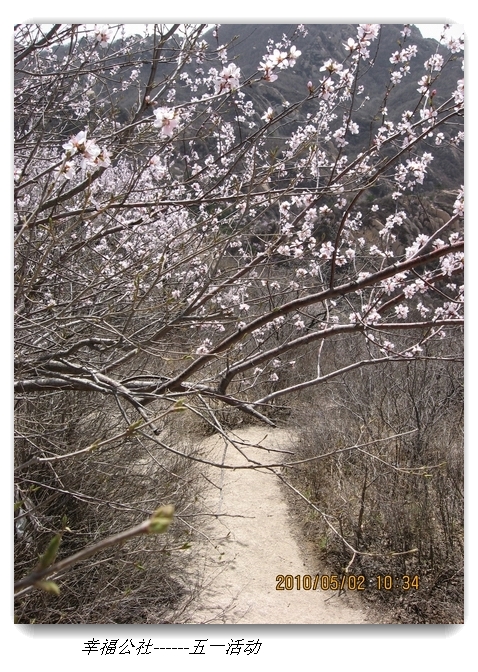 liang hua shang 063.jpg