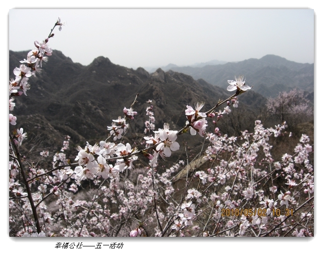 liang hua shang 057.jpg