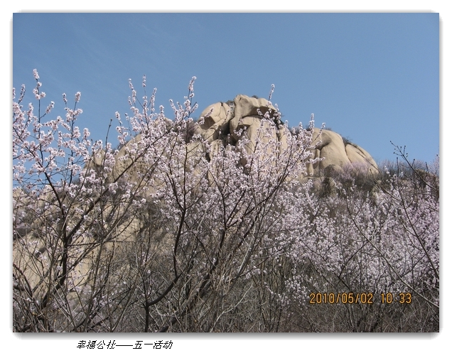 liang hua shang 060.jpg