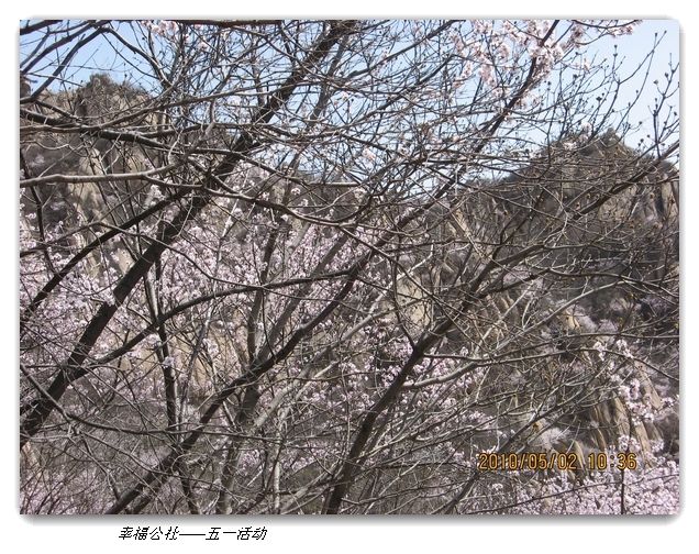 liang hua shang 071.jpg