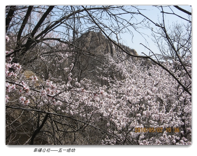 liang hua shang 070.jpg