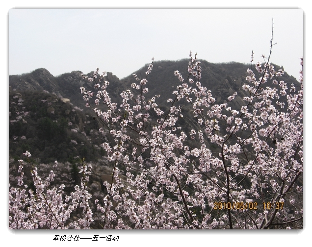 liang hua shang 074.jpg