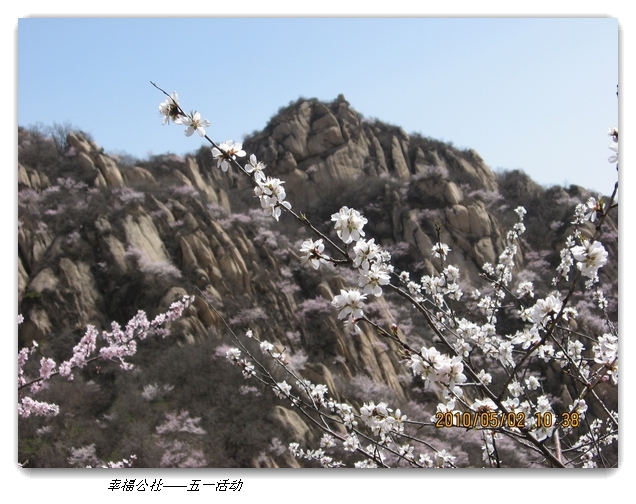 liang hua shang 076.jpg