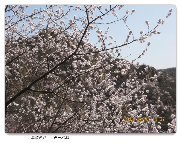 liang hua shang 073.jpg