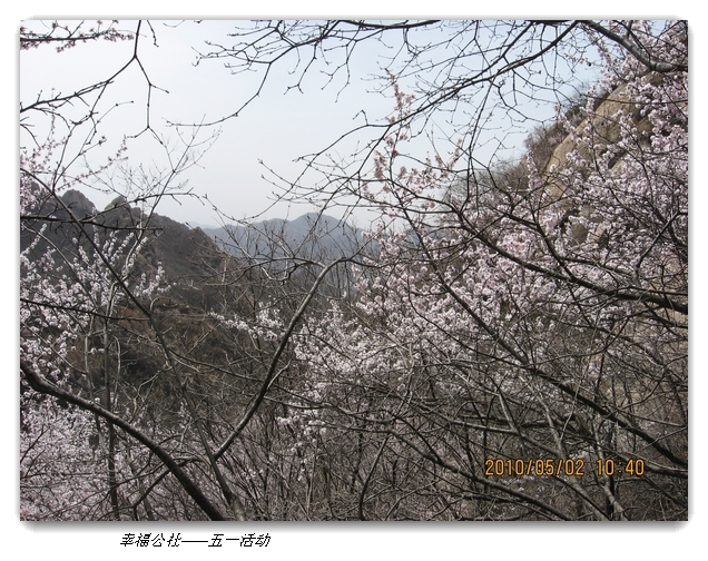 liang hua shang 080.jpg