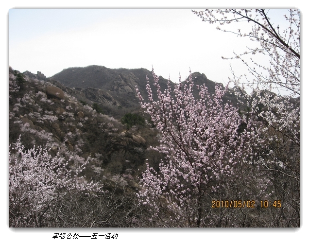 liang hua shang 087.jpg