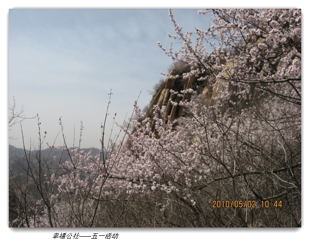 liang hua shang 086.jpg