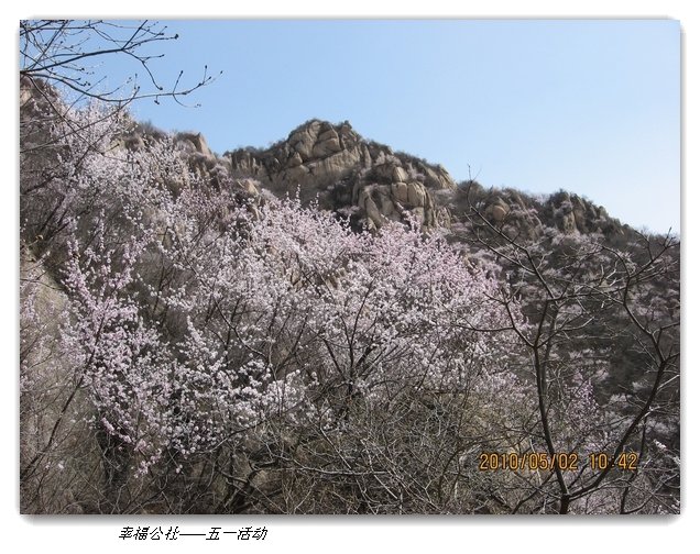 liang hua shang 082.jpg