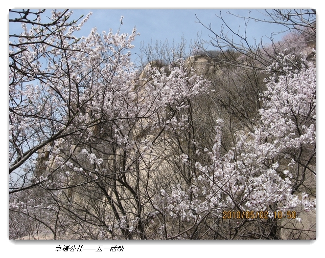 liang hua shang 093.jpg