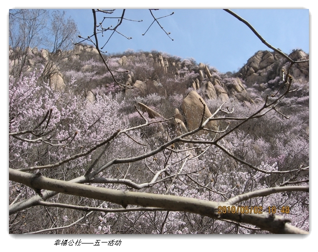 liang hua shang 091.jpg