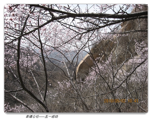 liang hua shang 081.jpg