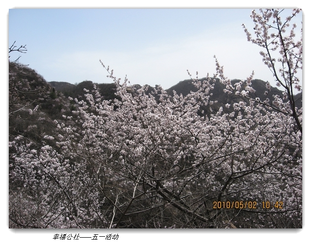 liang hua shang 083.jpg