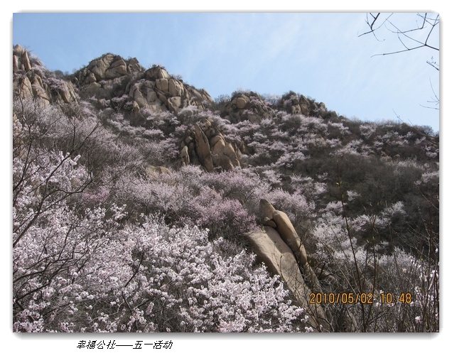 liang hua shang 090.jpg