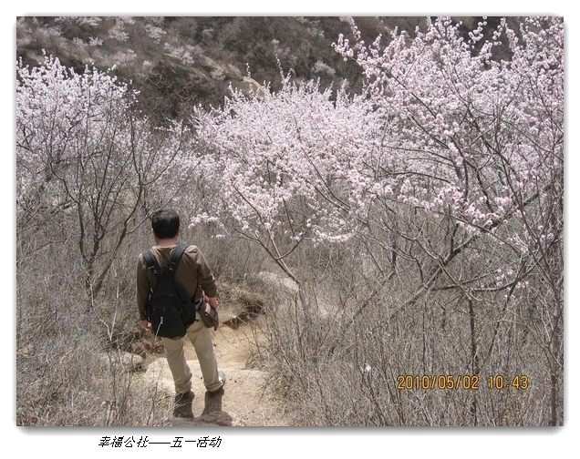 liang hua shang 084.jpg