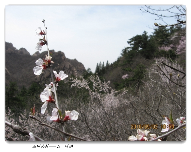 liang hua shang 102.jpg