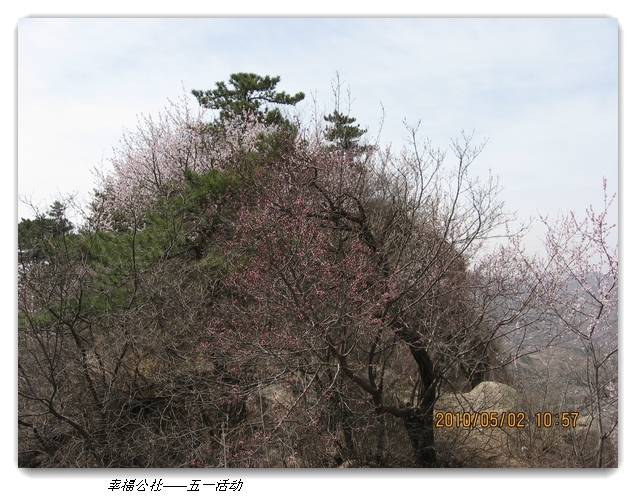 liang hua shang 100.jpg