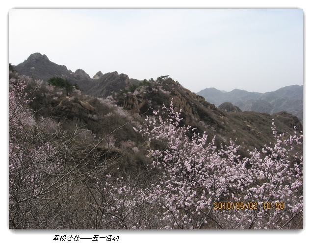 liang hua shang 094.jpg