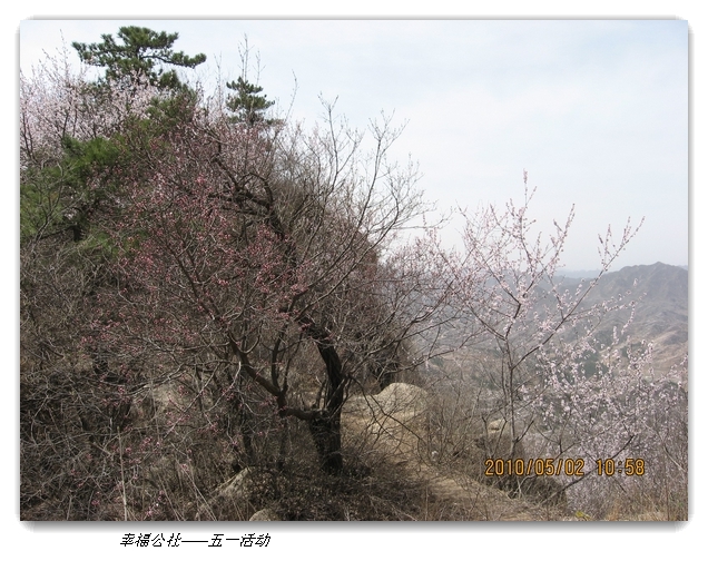 liang hua shang 101.jpg