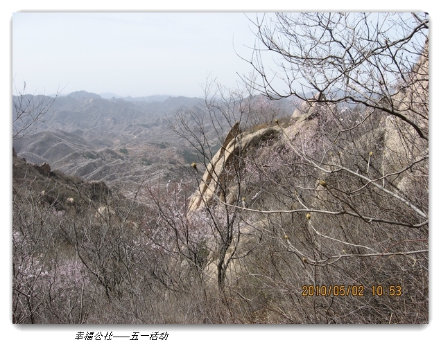 liang hua shang 098.jpg