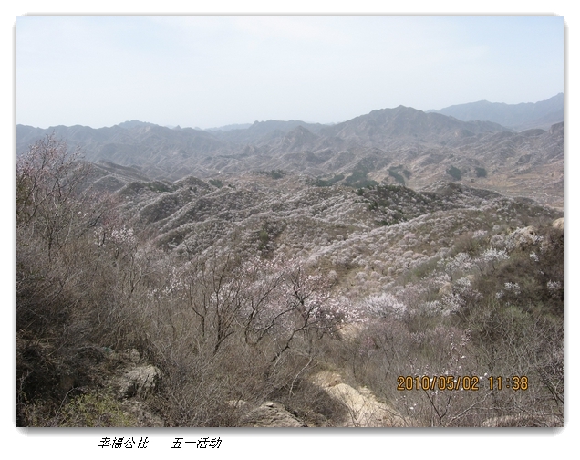 liang hua shang 112.jpg