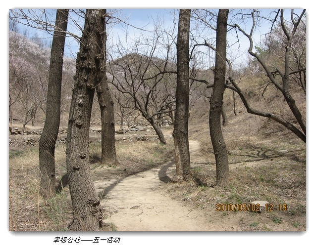 liang hua shang 130.jpg