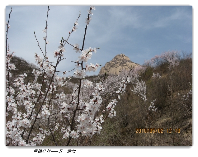 liang hua shang 127.jpg