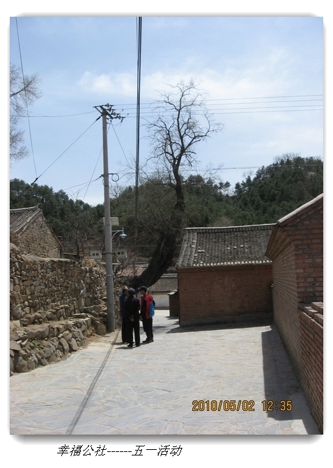 liang hua shang 143.jpg