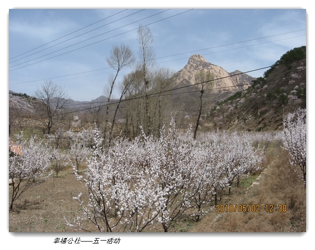 liang hua shang 145.jpg