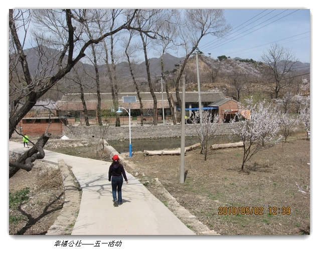 liang hua shang 146.jpg