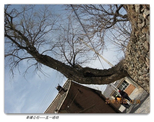 liang hua shang 142.jpg