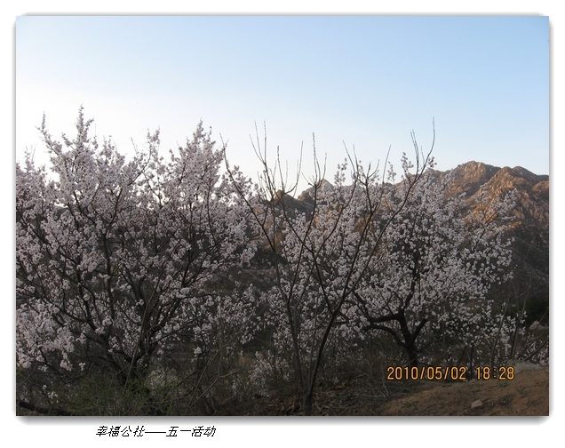 liang hua shang 159.jpg