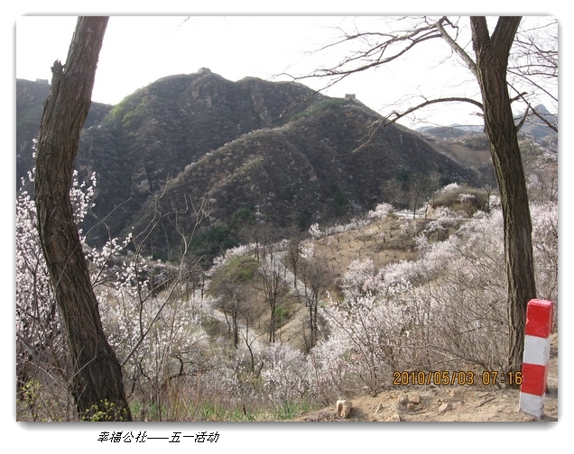 liang hua shang 165.jpg