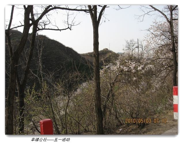 liang hua shang 163.jpg