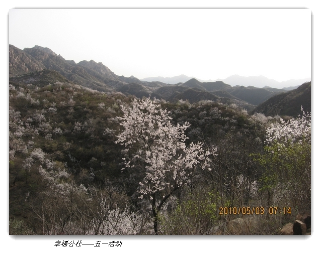 liang hua shang 164.jpg