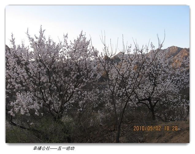 liang hua shang 160.jpg