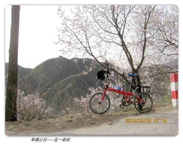 liang hua shang 166.jpg