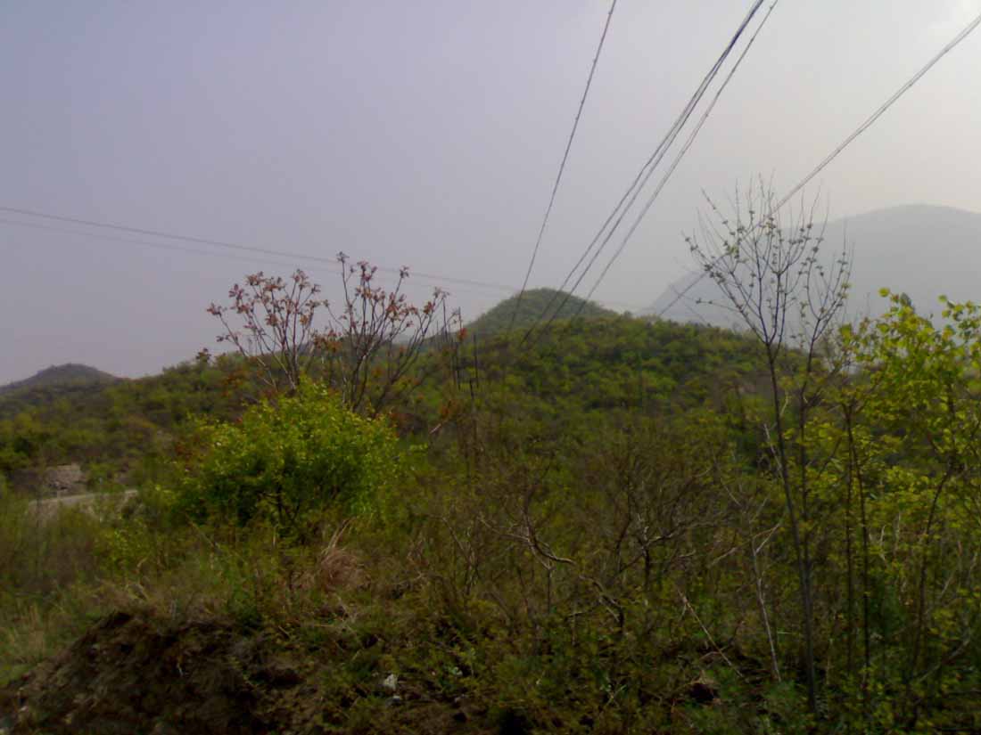 20100515616.jpg