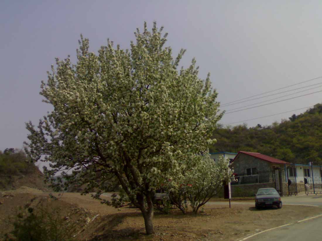 20100515622.jpg