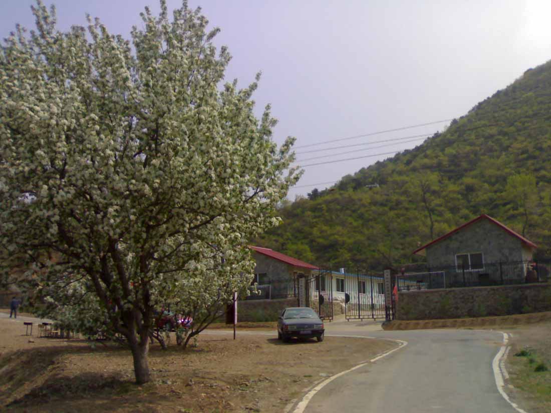 20100515624.jpg