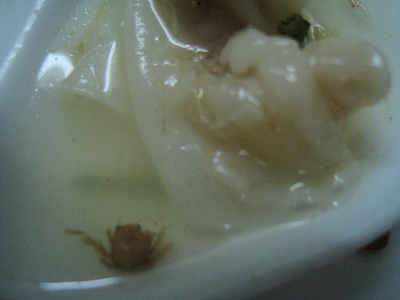 nEO_IMG_照片 135.jpg