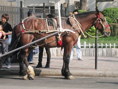 nEO_IMG_照片 117.jpg