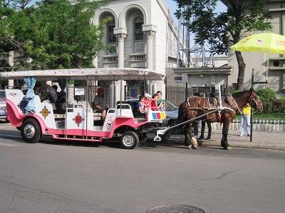 nEO_IMG_照片 118.jpg