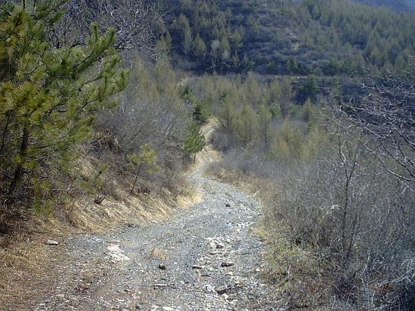 爬升方向是去大寒岭关城的XC大道