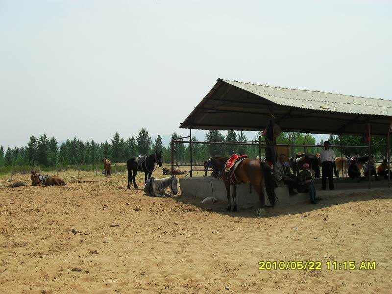 调整大小 SDC12233.JPG