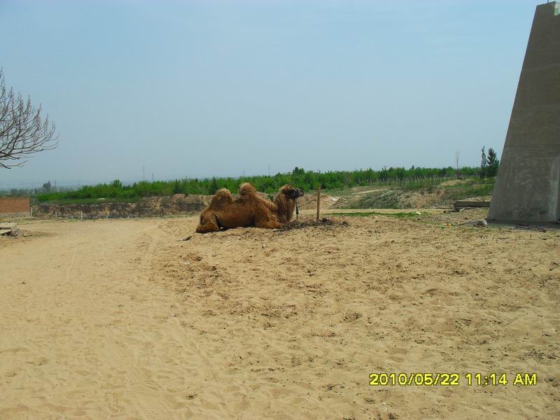 调整大小 SDC12231.JPG