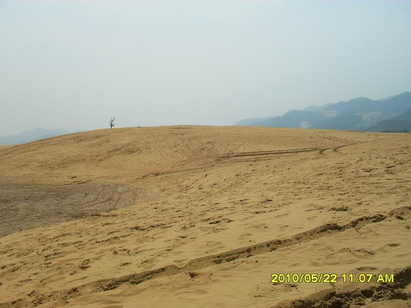 调整大小 SDC12214.JPG