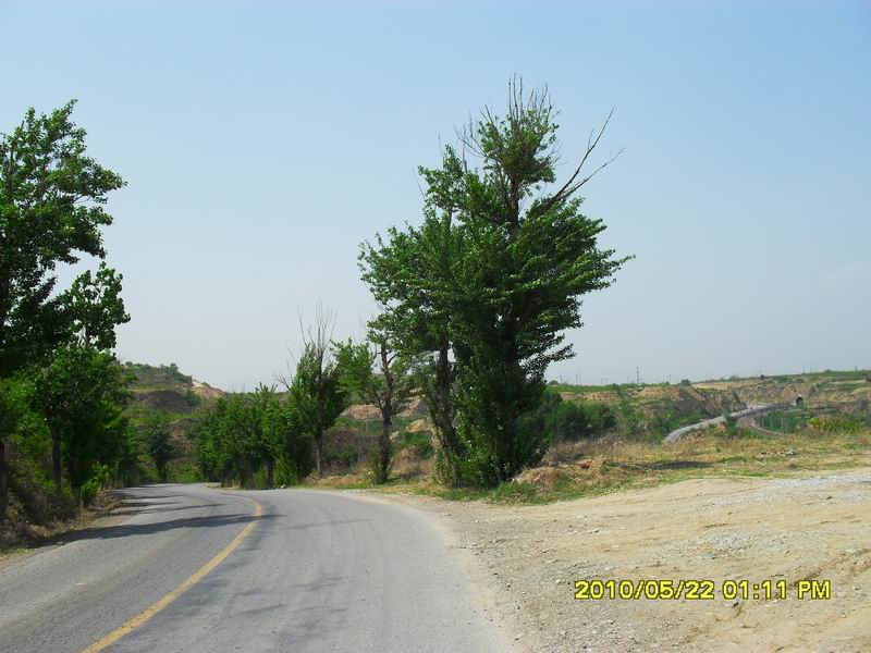 调整大小 SDC12271.JPG