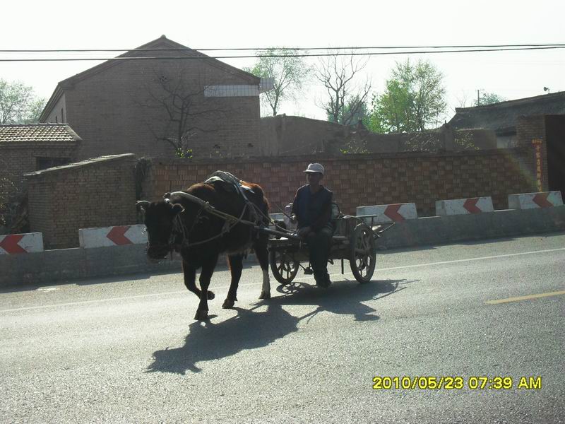 调整大小 SDC12300.JPG